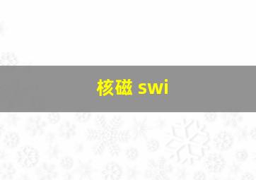 核磁 swi